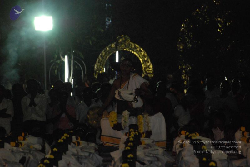 File:20110417 Photo 1449 1sOyLmPoynfXKF1 EZchKRS71dp-y-c0Q.JPG