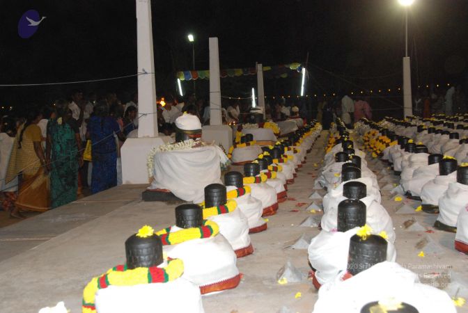 20110417 Photo 1483 14iL0FuqyMGGYk8f8AA3L3E8M1CjChz6D.JPG