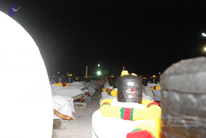 20110417 Photo 1487 1l2xKlAyoggZ8CmmRpTNlpxA8kfet8hqI.JPG