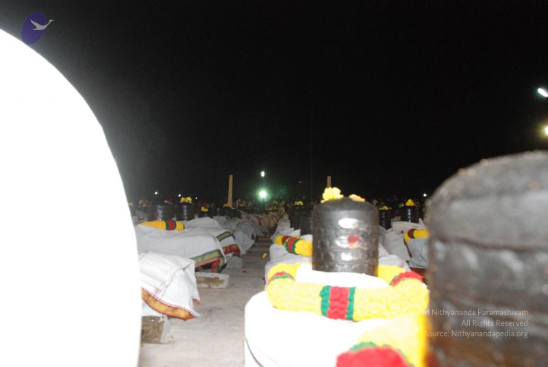 File:20110417 Photo 1487 1l2xKlAyoggZ8CmmRpTNlpxA8kfet8hqI.JPG