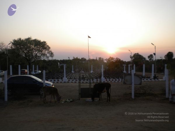 20110417 Photo 1541 1NP iBXU-ki6XyALOaDUqJi8ajxUKgj58.JPG