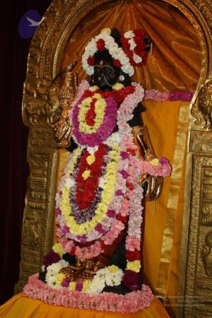 20110419 Photo 1001 1RQcLbvSK5DsNQcT8a8rxksLWciU-hiO9.JPG