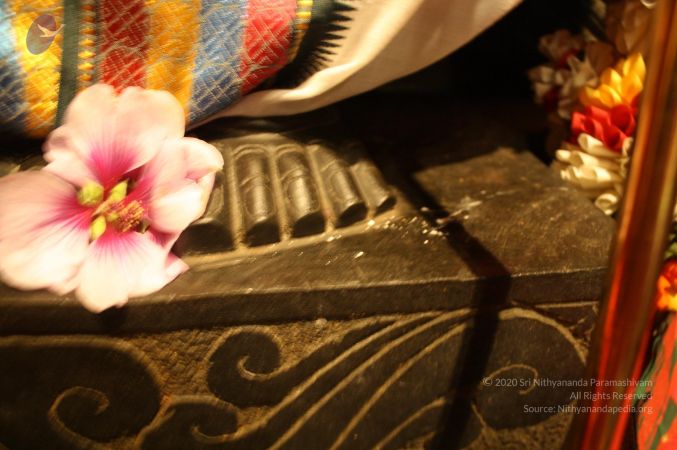 20110419 Photo 1007 1b9-wH486e qhfCtbOyVIfIxQT AnQgwL.JPG