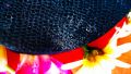 Thumbnail for version as of 02:19, 14 January 2021