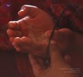 Thumbnail for version as of 02:30, 14 January 2021