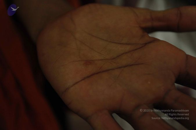 20110421 Photo 1011 1hhIIJLkPISCFerOu1WJZokSJ1eas-iR8.JPG