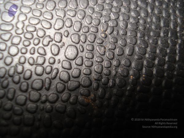 20110429 Photo 1000 1pfvpqt W1Hba7avRg9FNCkwcBWrcPrqg.JPG