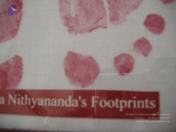 20110504 Photo 1002 15nOhVnMZpQIllHx4oYY67M6OMFP0fvvh.JPG