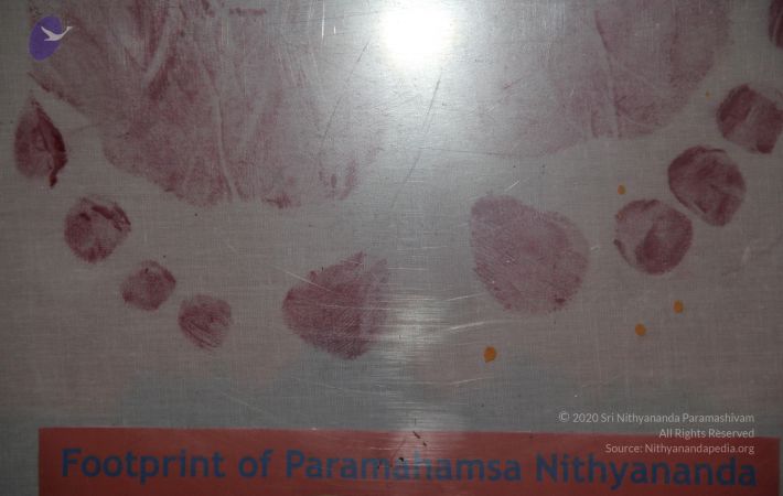 20110509 Photo 1001 1mCudPc2sTnvKxdTKqSj0P7ERTS5J7dQL.JPG