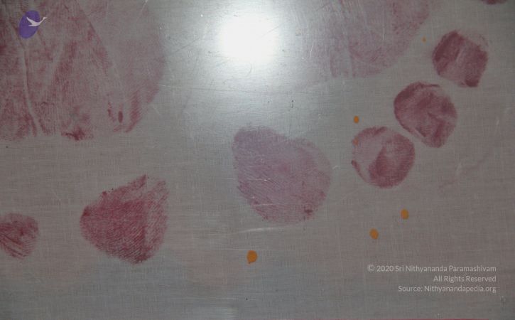 20110509 Photo 1002 12CmRAqbuEnKCE7ukj3vr42LIzhUw8eOH.JPG