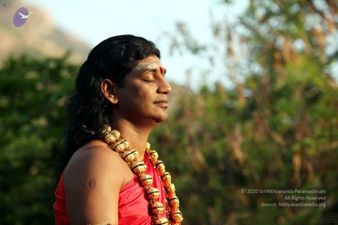 20110517IMG 8306 CMP WM001.jpg