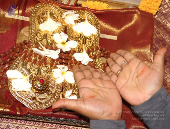 20110521 Photo 1002 1-4cxf0pUM5177EGIs26SUIhMuZ9l4 cJ.JPG