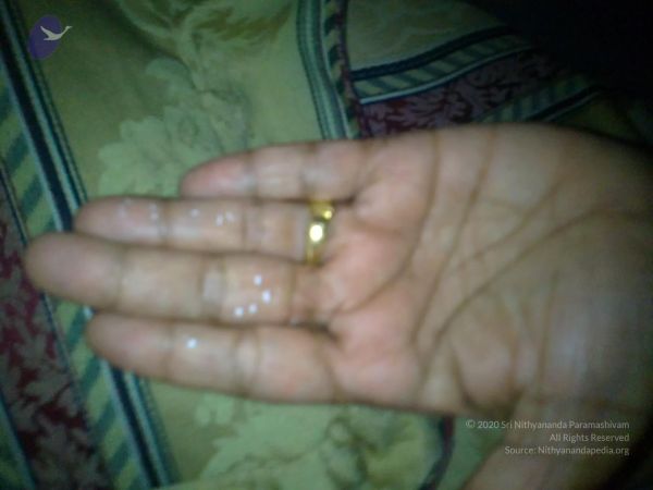 20110528 Photo 1002 17 S4gQX5zn6x JUzMPl-ZcPkutQli9Q1.JPG