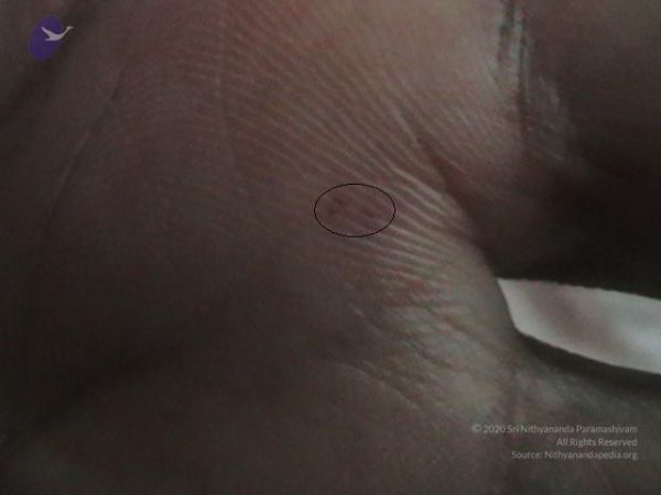 20110528 Photo 1005 1zesMtTpngEbHEb4BMQiM-Iooyp23ZX62.JPG