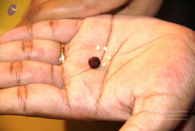 20110603 Photo 1004 1d2tkDtoecl2O0FCa7qnnxtbK6020DZh6.JPG