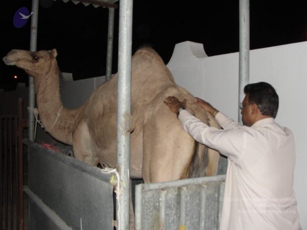 20110603 Photo 1006 1 w61gZovPf-8Tv4J07gb94y8UYzdGHB4.JPG