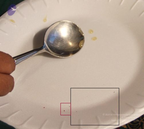 20110604 Photo 1006 12uk8sHG2j9FGcLn-Uqv3zIHaVsKYwLxH.JPG