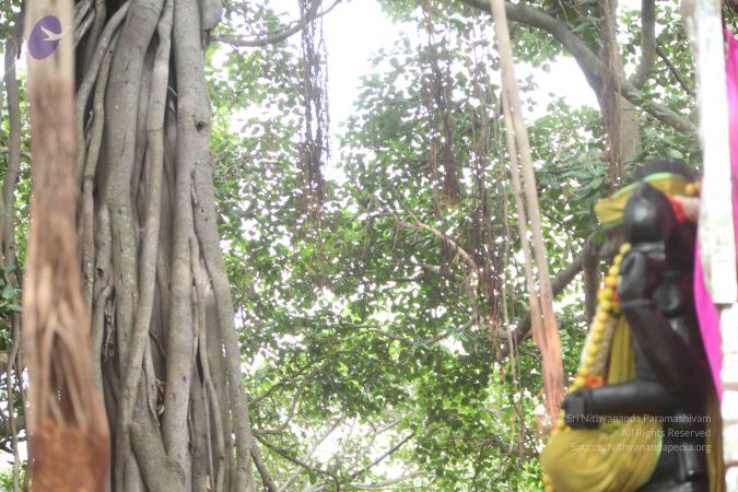 20110605 Photo 1029 16EAEzhRgEavYcN6fG95cLwGs2faBB6g7.JPG