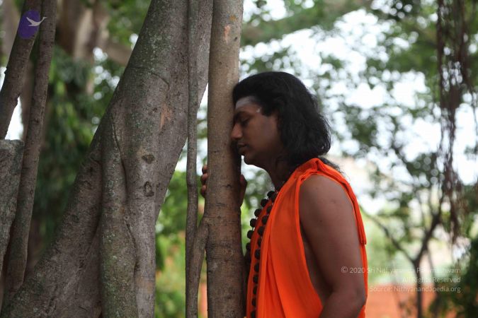 20110605 Photo 1039 1kAEZsOoyrENfSy5vMxbghFnFpiwXcLb1.JPG