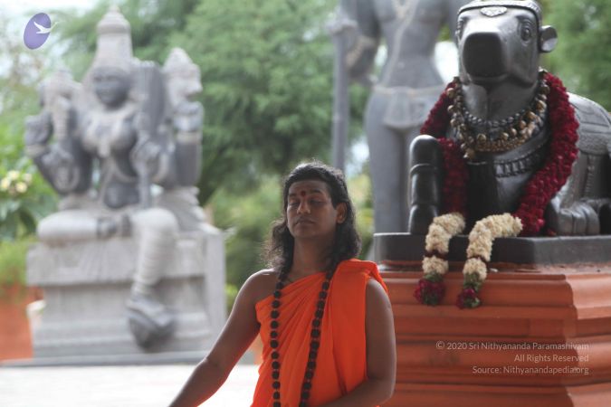 20110605 Photo 1068 1hpigt-Fd3xuKpN0ph63lpiq5NmPG4bN9.JPG