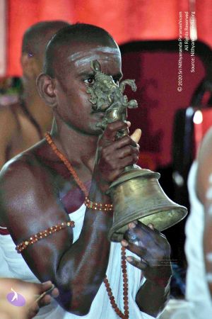 20110605 Photo 1173 1iHziQ3V h0cxjO61CnrnxWz6E-VkVkij.JPG