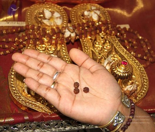 20110605 Photo 1237 1IN-wksM50xmP8QstVEJRO0UBTU7oTvp7.JPG