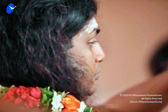 20110605 Photo 1261 1iawvUv-jcjhhw2pkEEZ9okgpPqgdK81K.JPG