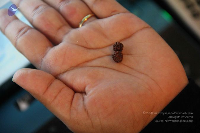 20110606 Photo 1002 1CvfEjcfvXtIt6SpOLL2mJC3h5gU-lOoP.JPG