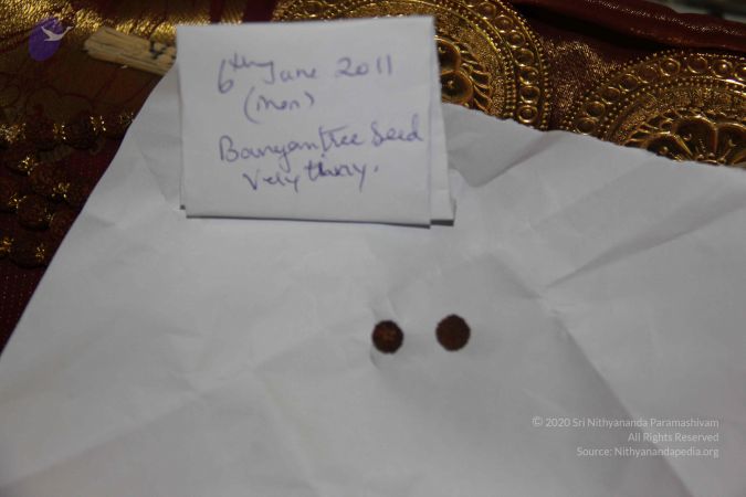 20110606 Photo 1003 1pUdW-KwnSKJBEgLwvsKOEhxsgjw7Pe9I.JPG