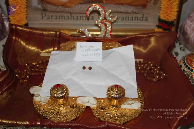 20110606 Photo 1007 1WeeCJbV1JR42jMt7f6ioZCmFh9aIAQ9m.JPG