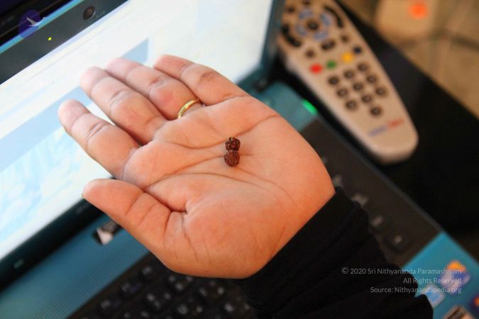 20110606 Photo 1010 1TXDc5pczsqf-IE1WjL7pdFAjmqwPIxxo.JPG