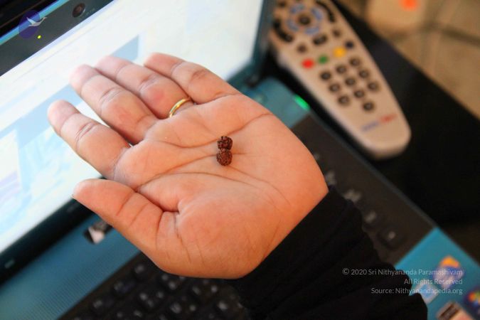 20110606 Photo 1013 1bA1u8fJwVJqIc7CTrBaVX1lAjWRChTU5.JPG