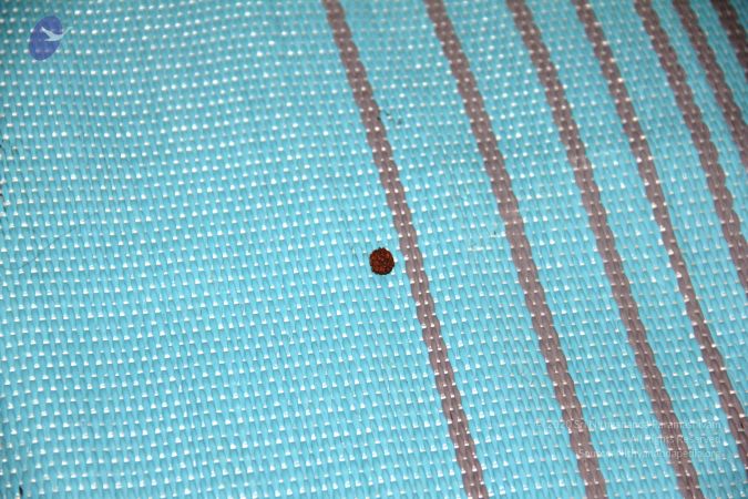 20110606 Photo 1015 1JjLK0zt cRdPKLta7DeOkXDElXL-b3v5.JPG