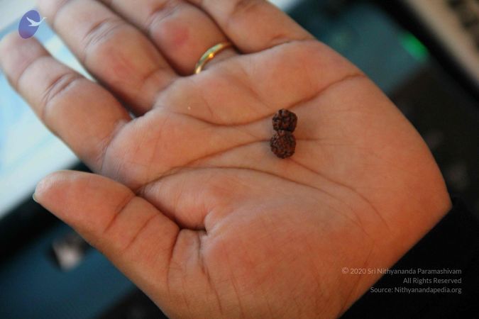 20110606 Photo 1016 1syF4WlHY1sV9sqX7nmtHzImgoTRbSzGn.JPG