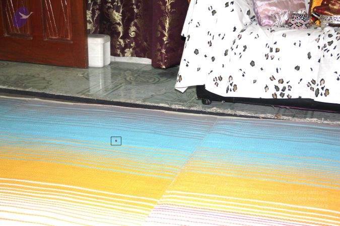 20110606 Photo 1018 1Ycy8G6rvdEUT3d4lTSMCPc05v-lsPsMP.JPG