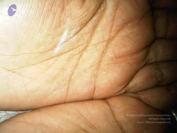 20110608 Photo 1001 1OAZiYVvES2lcBuku8PB-D-ZFr1z6Oe3a.JPG