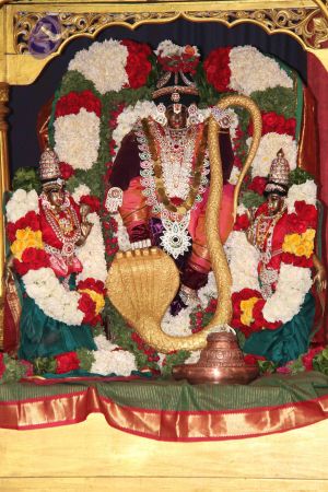 20110609 Photo 1001 1AMwpiFn2TsG YUsRP6S ZrR5hTsDLGCr.JPG