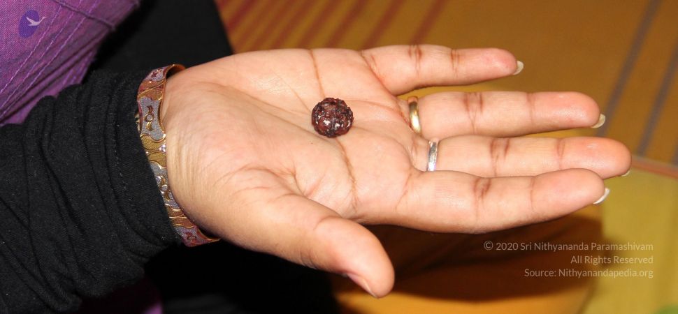 20110609 Photo 1007 1XHXQsNbmDzlq0y1EMgJvBQB94pN4WVMQ.JPG