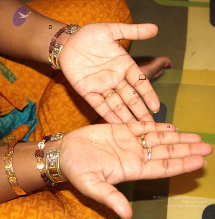 20110610 Photo 1006 1H1KfaX X5jJh-1sApNeoUmQ7zd8TXZuL.JPG