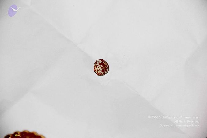 20110617 Photo 1000 1FSHJ3K5hjmHxxCA0ABYC4uI1LnwEpjQN.JPG