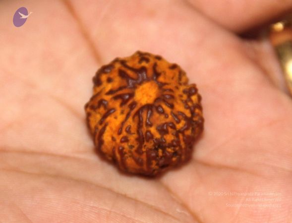 20110617 Photo 1004 1cpIsqGTDHGJmbpXJwtfxQshRmIB-xL2g.JPG