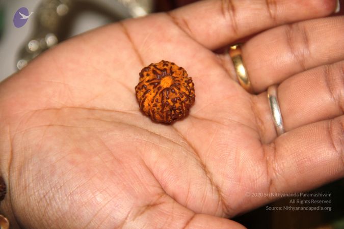 20110617 Photo 1006 1nVKlIpCkmNHfxNtxhPG7e1A3SI0Z9imU.JPG