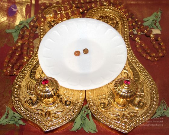 20110619 Photo 1001 1IApnAtqxe981m aRSUzokH 67U4abtRR.JPG