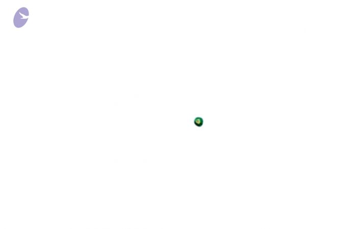 20110629 Photo 1005 1ObC9AJFlJJTw93r4-Q X7-nZci92TYuU.JPG