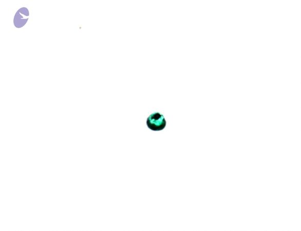 20110629 Photo 1009 19NVbwDVSYCXmZVFsodF9sATKUoObjsay.JPG