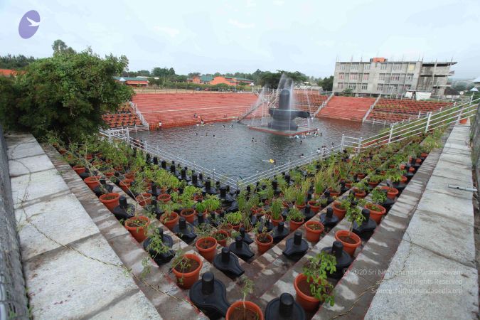 20110705 Photo 1038 1jabt8p1magOpzhNa8IyM01UKy2S9 MIP.JPG