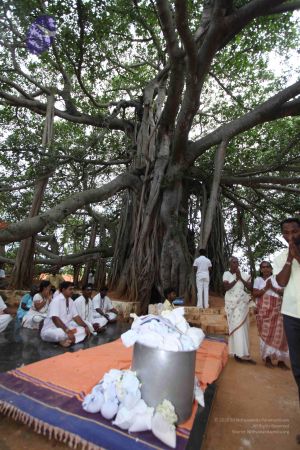 20110715 Photo 1905 17ENi6rb9cIJXfarSk478mznY4CGslHwE.JPG