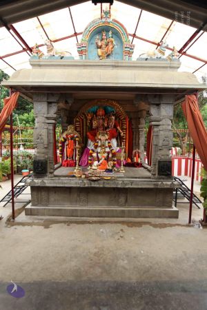 20110716 Photo 1010 1OeSImJA5pbsw-Pyoq 6WN1K6wCE5h-4q.JPG