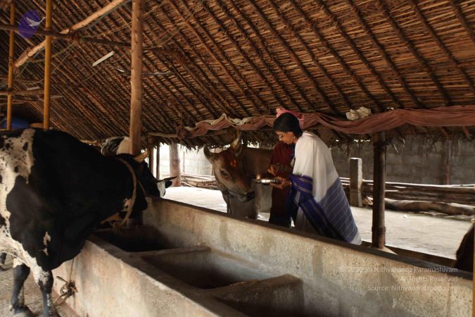 20110716 Photo 1090 1sP4-ID4C 6qR5XkgziHXziV0QS2gBLs1.JPG