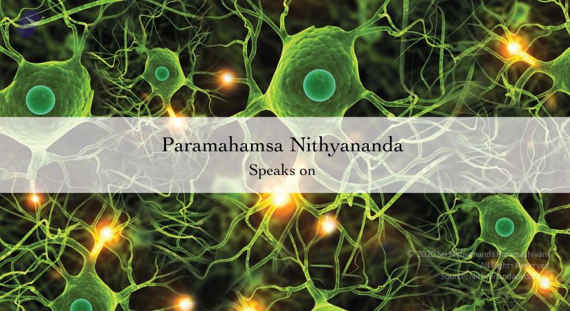 20110717 Photo 1000 1-4A6vGSJ iKj0zsdONm97wEGMt8y6EOO.JPG